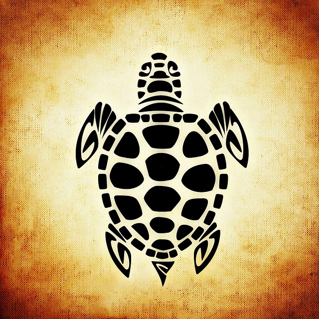 Langsamkeit durch eine Schildkröte ausgedrückt